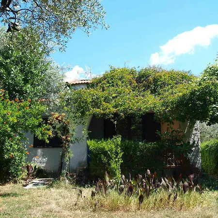 Verde Blu *
